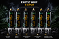 6 броя Exotic Whip 670G food-grade N2O